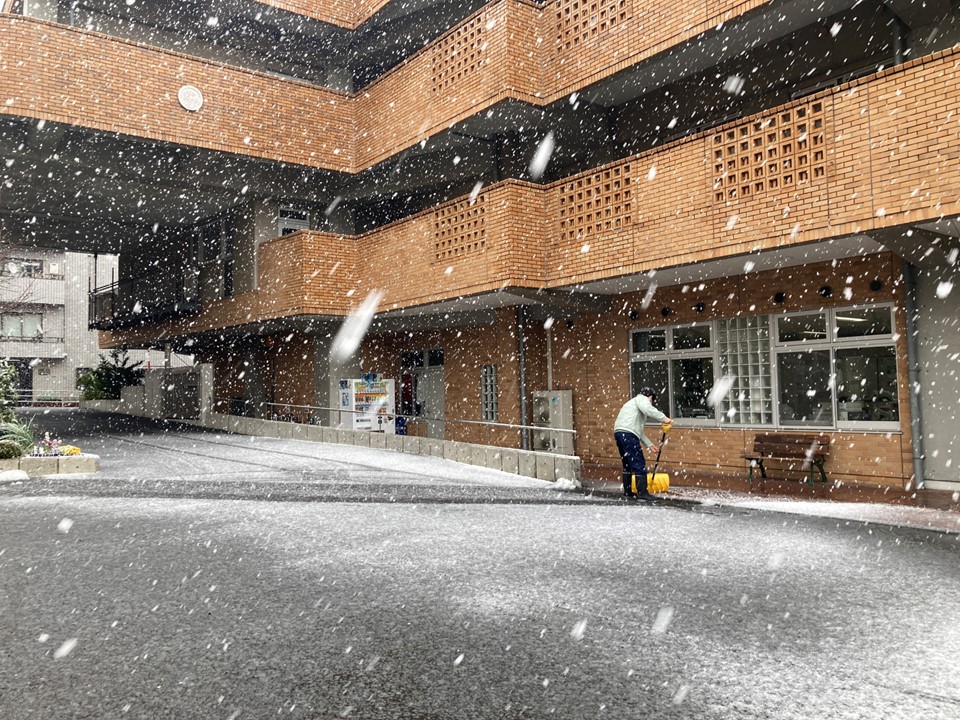 春分の日の前日、朝から雷が鳴り、3月なのに雪が降りだしました。
お昼ごろにはすっかり止んでしまいましたが、東京の雪は珍しいのでみんなで喜んでいました。