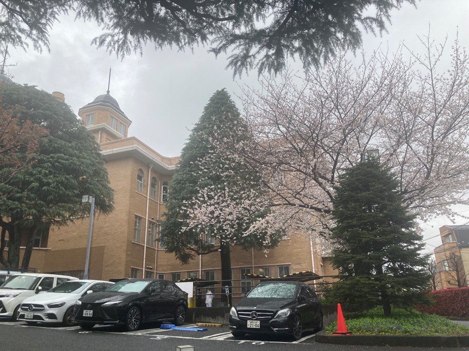 冷たい雨が桜の花に降りかかる4月1日、
聖母病院の大聖堂で聖母病院とホームの合同就職感謝式が行われました。